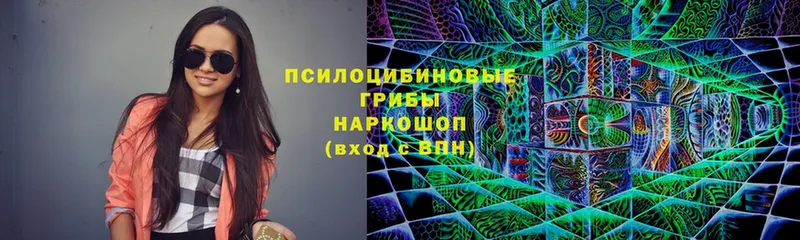 Галлюциногенные грибы Psilocybine cubensis  hydra вход  Дно 